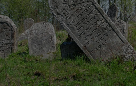 Galicia and Bukovina Project
