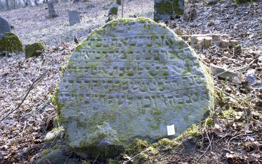 Expedition of the Petersburg Jewish University to Кaraite Cemetries in Lithuania, 1998 (Leaded by I. Dvorkin).  Karaite cemetery in Trokay. Photo by M. Rashkovsky